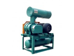 YLSR100M密集型羅茨鼓風(fēng)機